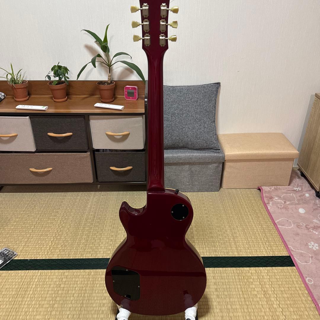Edwards E-LP STD 初期モデルシリアル無し