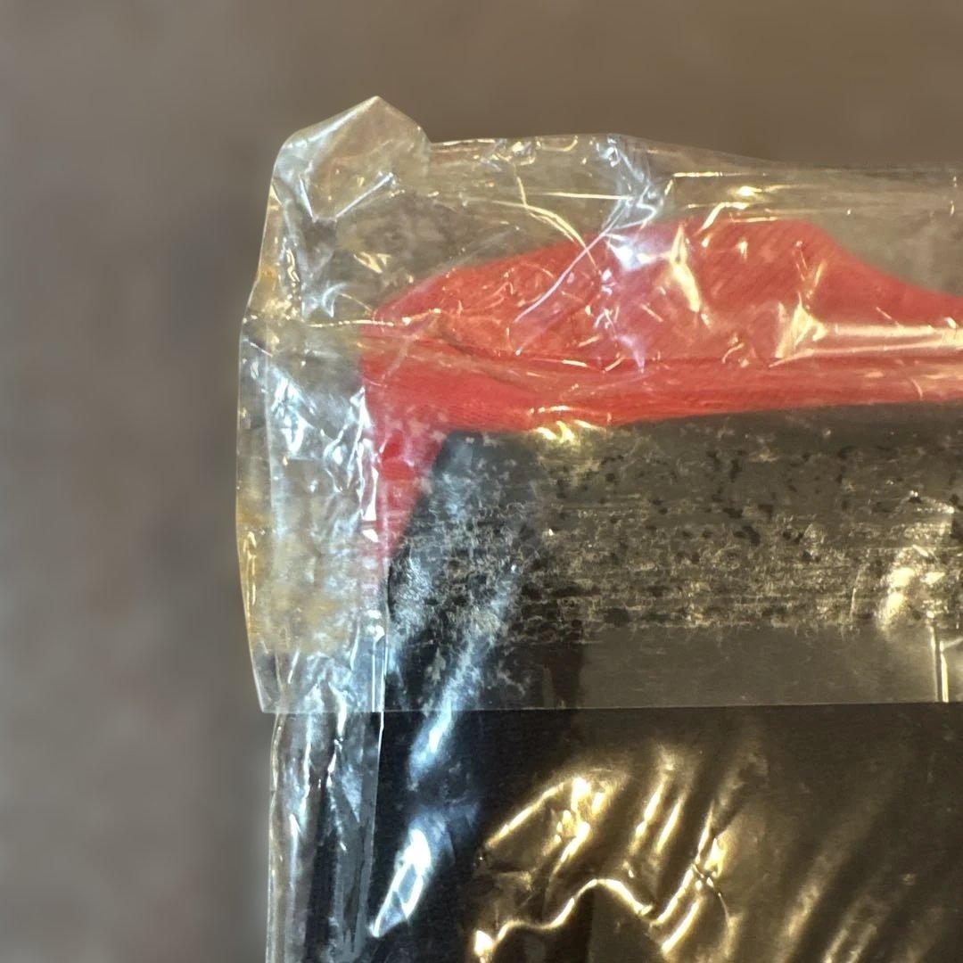 B'z LIVE-GYM '95 BUZZ ツアーTシャツ