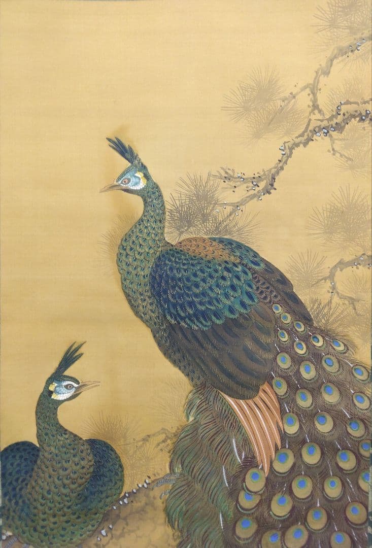 岡本秋輝【孔雀】肉筆　絹本　掛軸（幕末期 4大家）