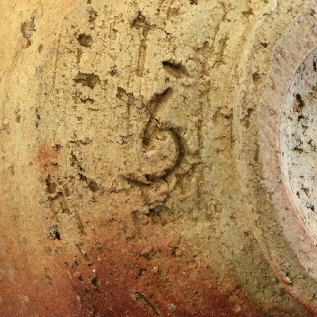 信楽焼 平茶碗 抹茶碗 高橋楽斎作 陶印有 茶道具 供箱付 T198