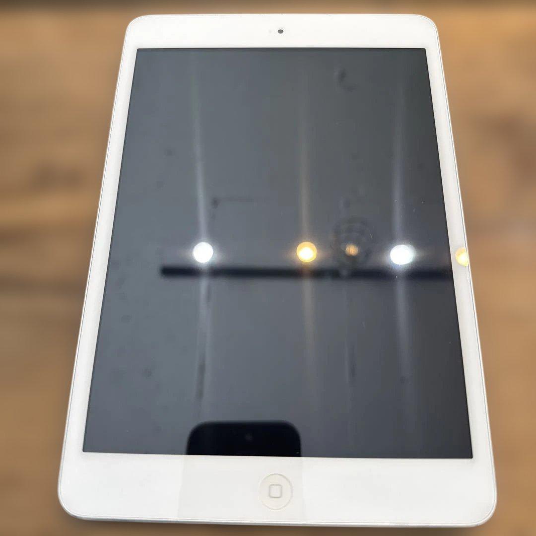 Apple iPad mini Wi-Fi 容量12.6G 【値下相談可】