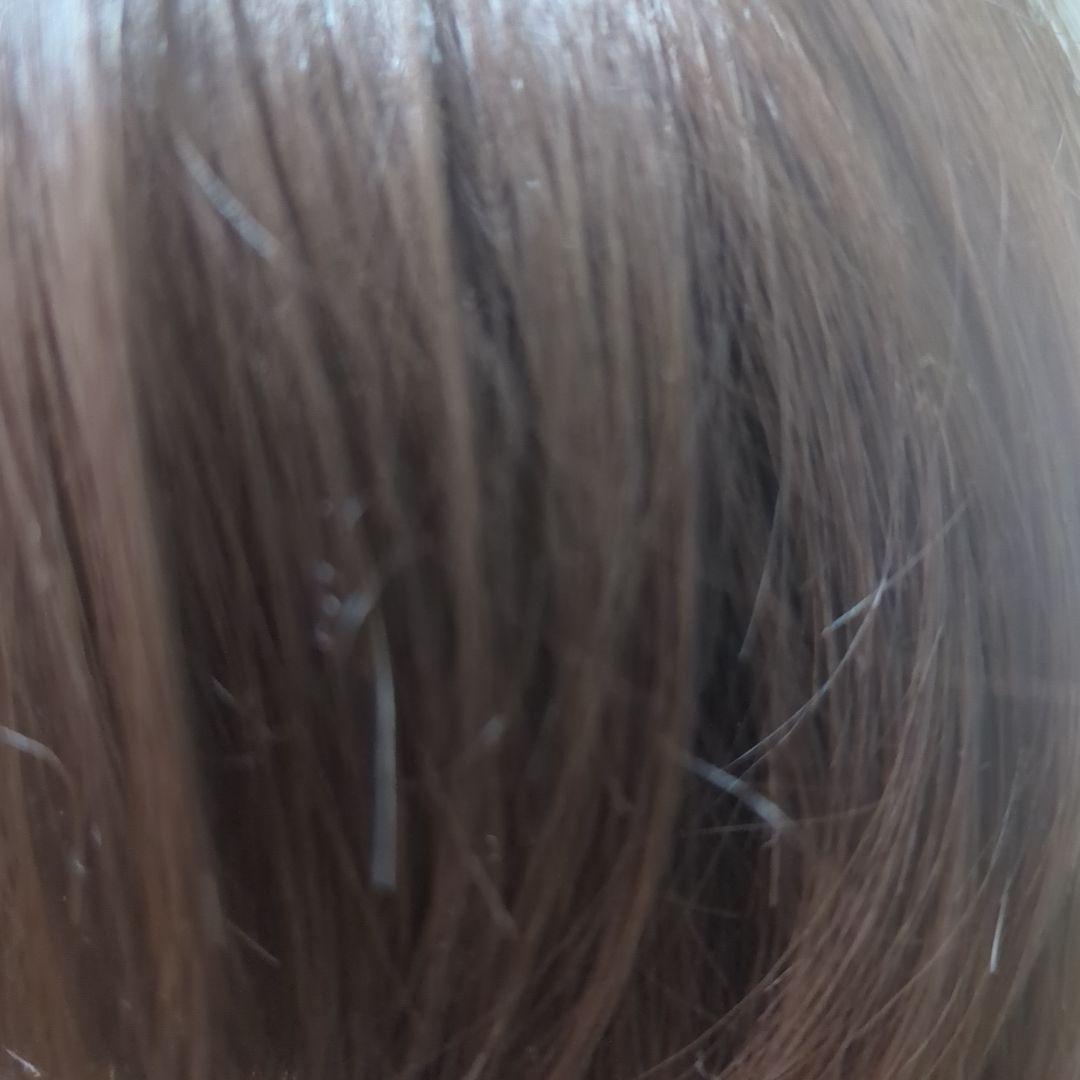 リネアストリア　天使のリーフショート　チョコブラウンМサイズ