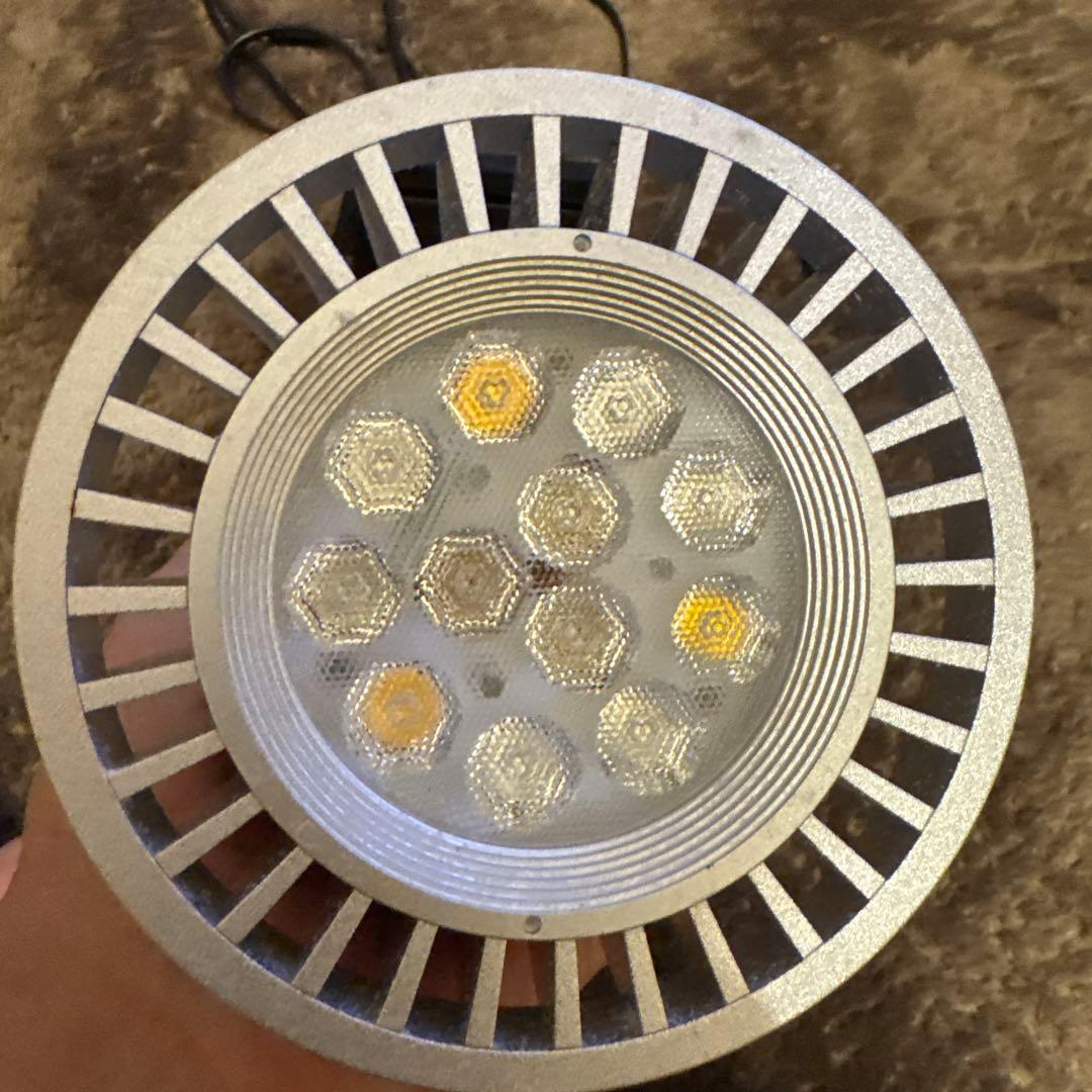 GrassyLeDiorX122 RF E26ソケットライト