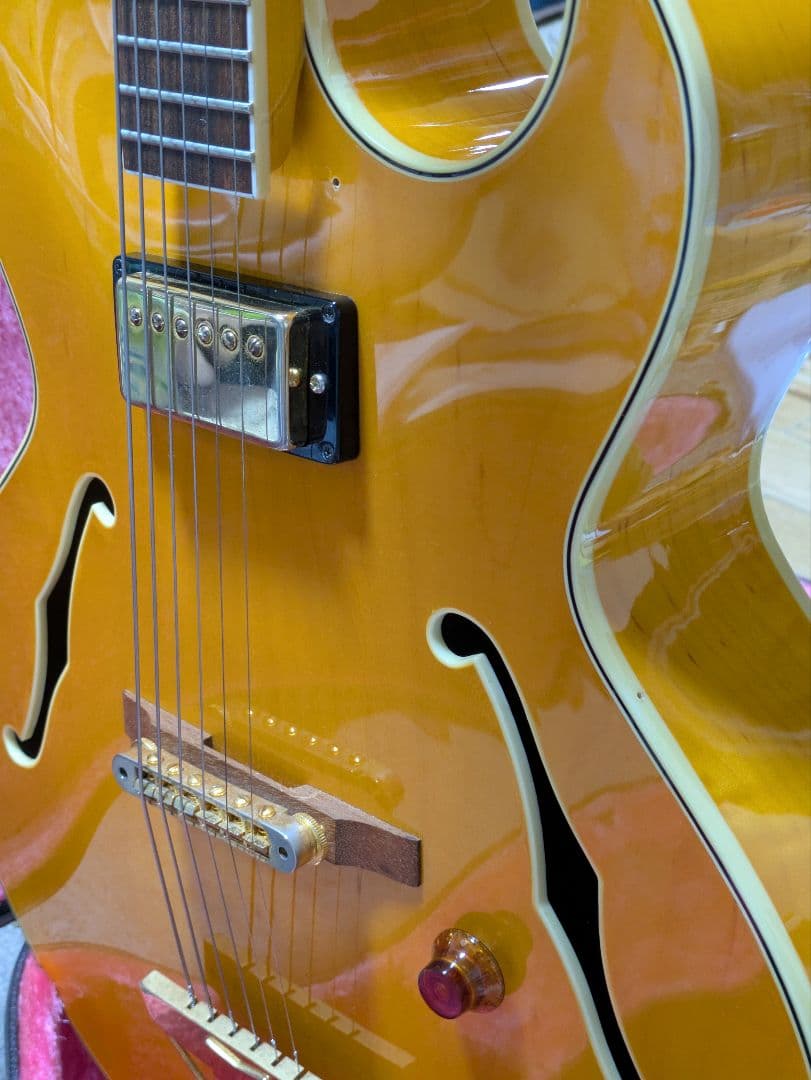 FERNANDES　BURNY RFA-65　フルアコ エレキギター