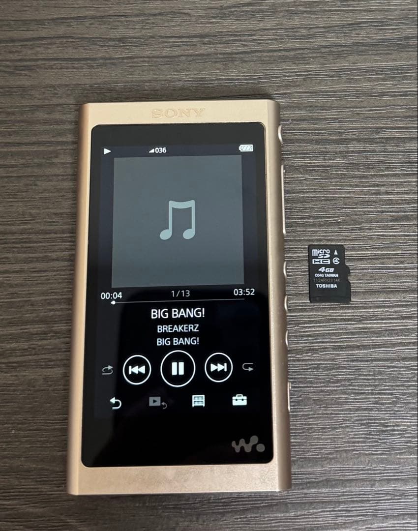 ソニー ウォークマン 16GB NW-A55