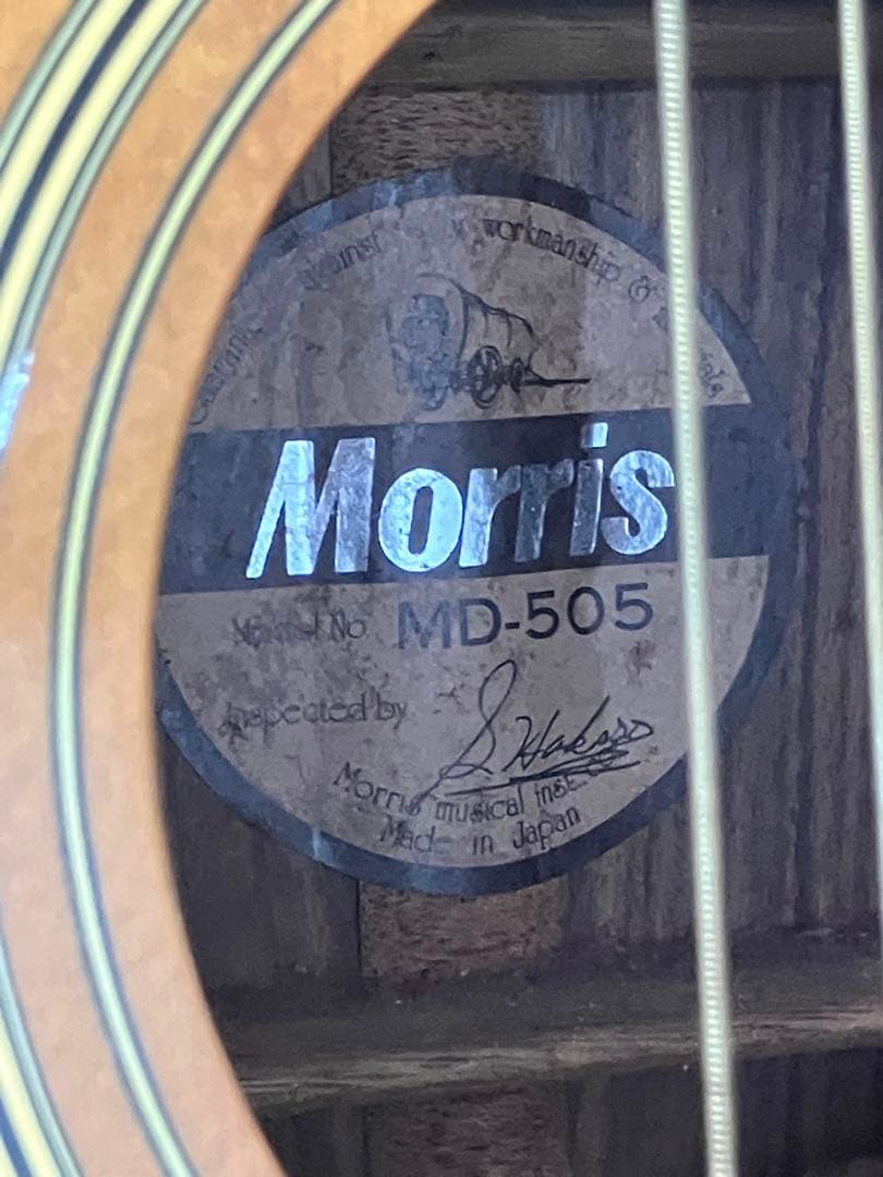 【Morsris/モーリス】MD-505 アコースティックギター アコギ 日本製