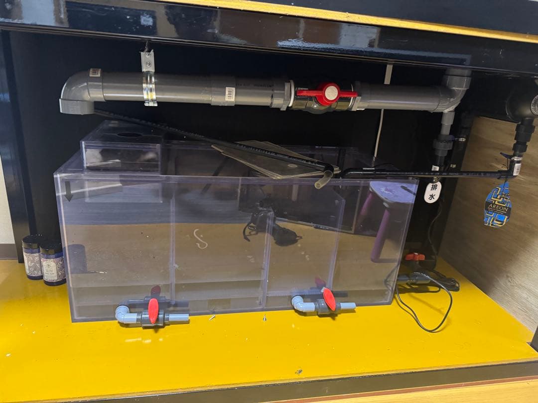 最終値下げ　1500オーバーフロー水槽　6/6日まで