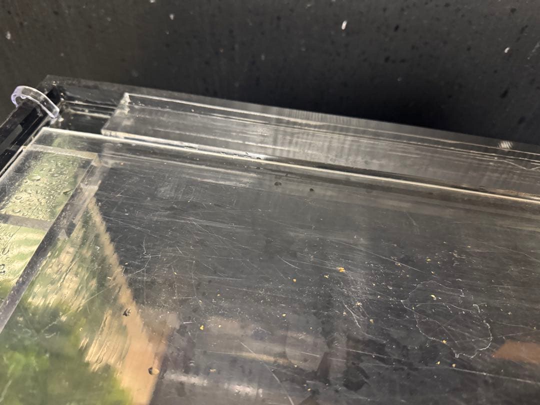 最終値下げ　1500オーバーフロー水槽　6/6日まで