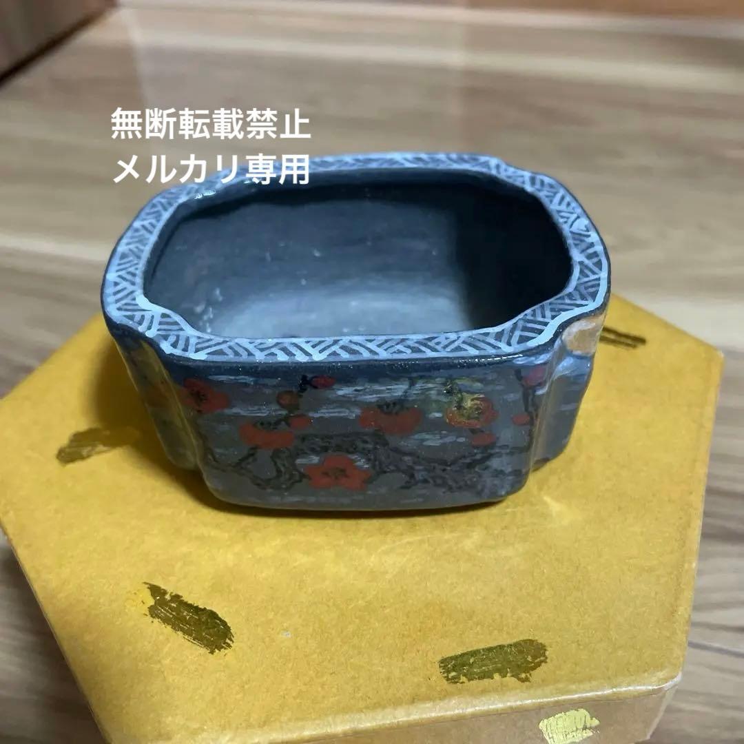 盆栽鉢　桑津香石　山野草　ミニ盆栽鉢　小品盆栽