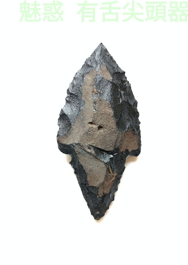 有舌尖頭器 原始時代 模写367 石器 サヌカイト