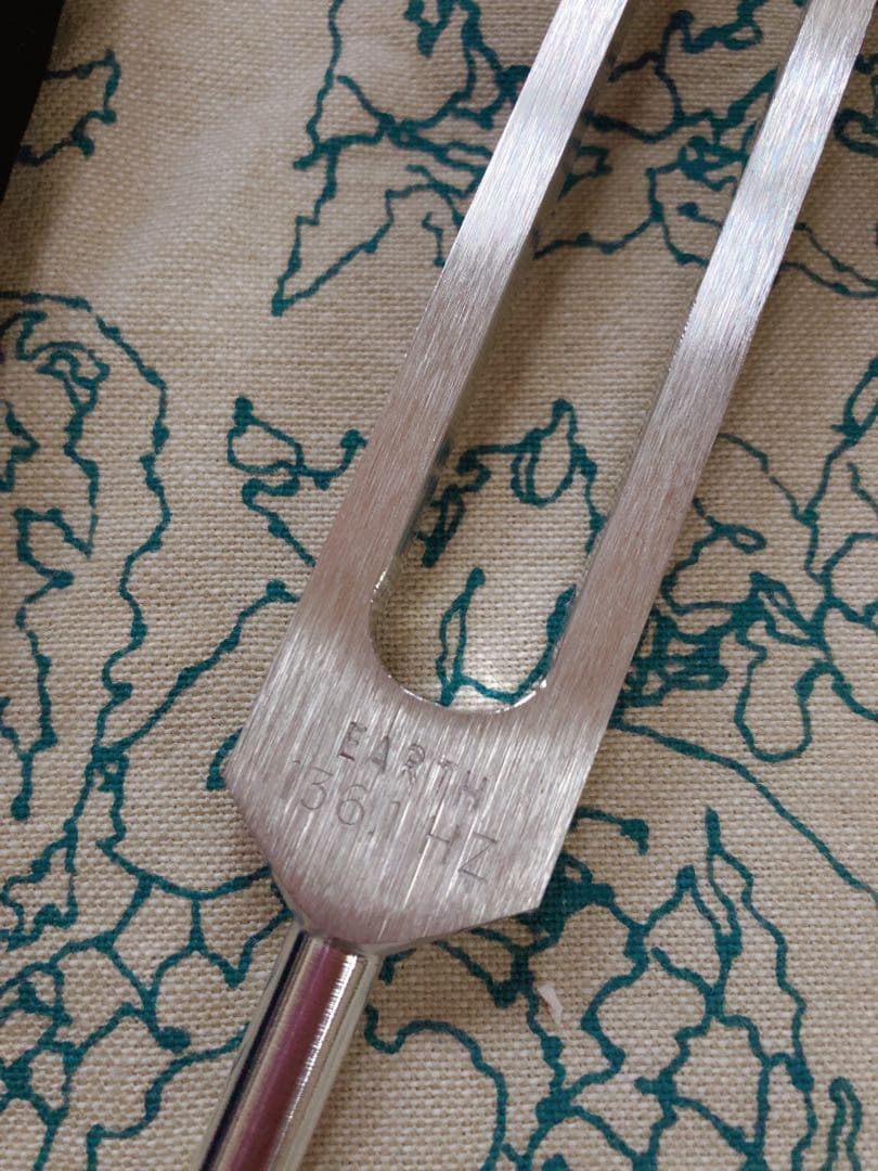 バイオソニック　EARTH 136.1Hz　専用ケース付き