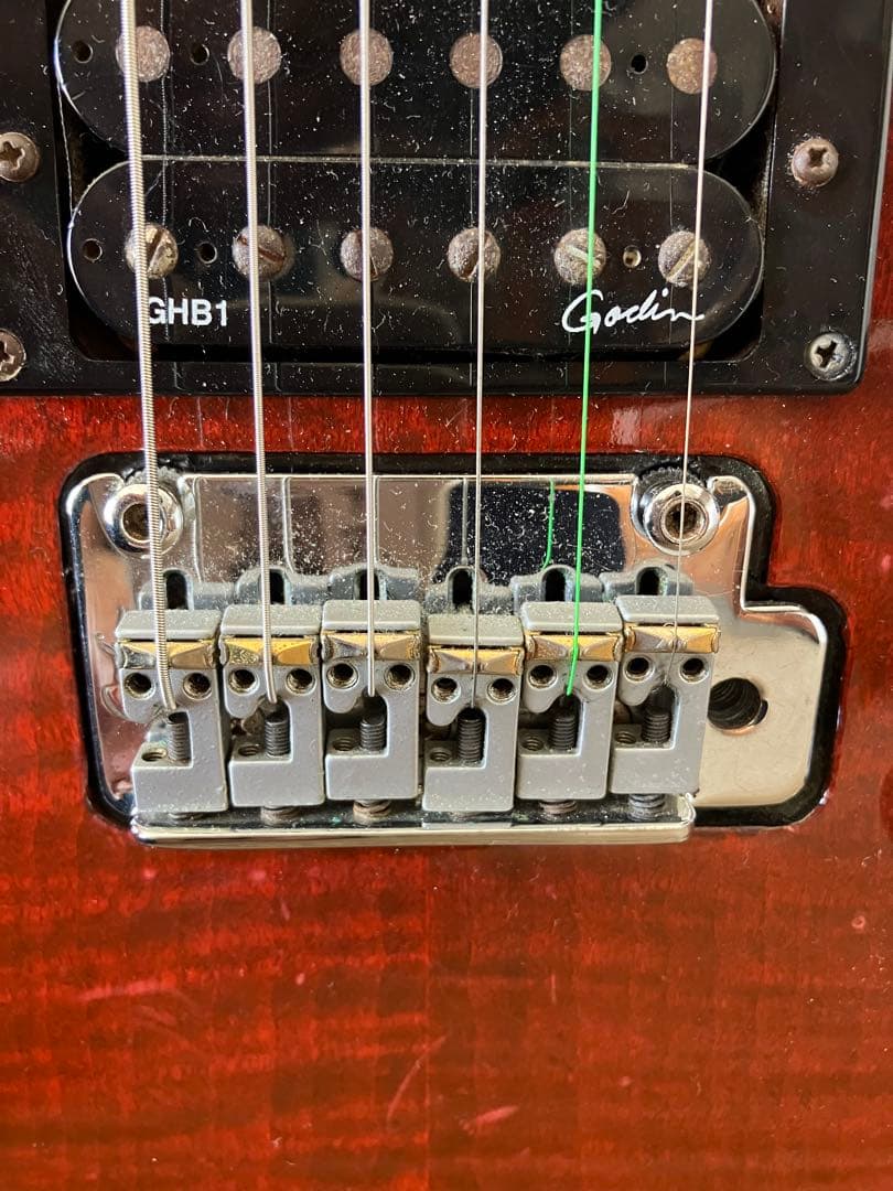 GODIN GUITAR ( ゴダン )xtSA