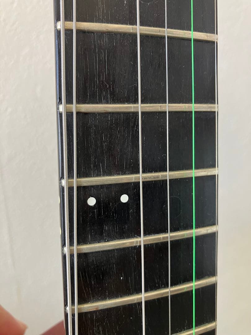 GODIN GUITAR ( ゴダン )xtSA