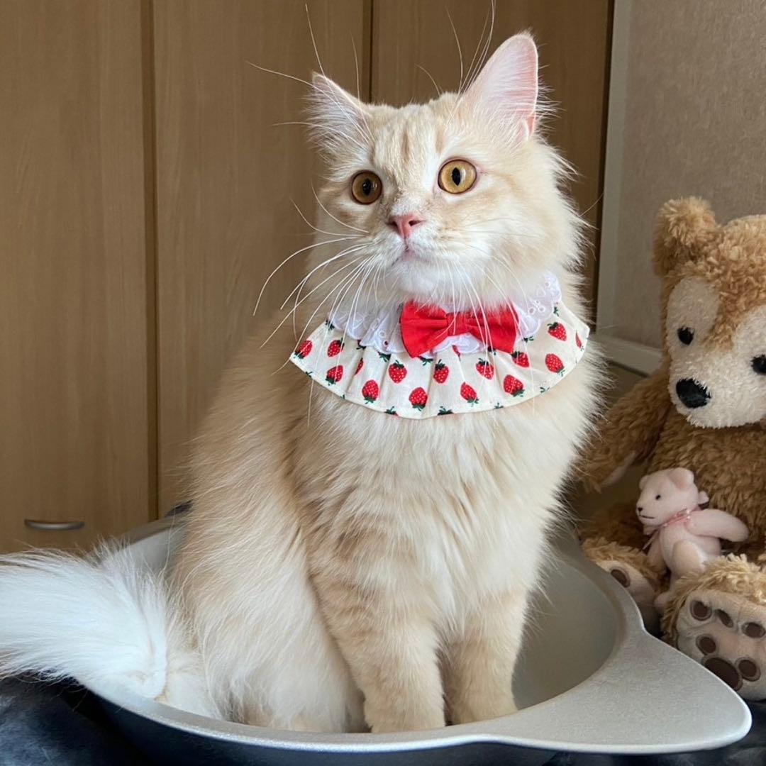 フレアスタイ(ギンガムチェック ハート柄 ピンク) Ｎｏ．163-680