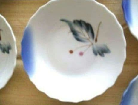 明治　大正　昭和レトロ　時代物　骨董品　伊万里　花縁取り小皿　ヤブコウジ　14枚
