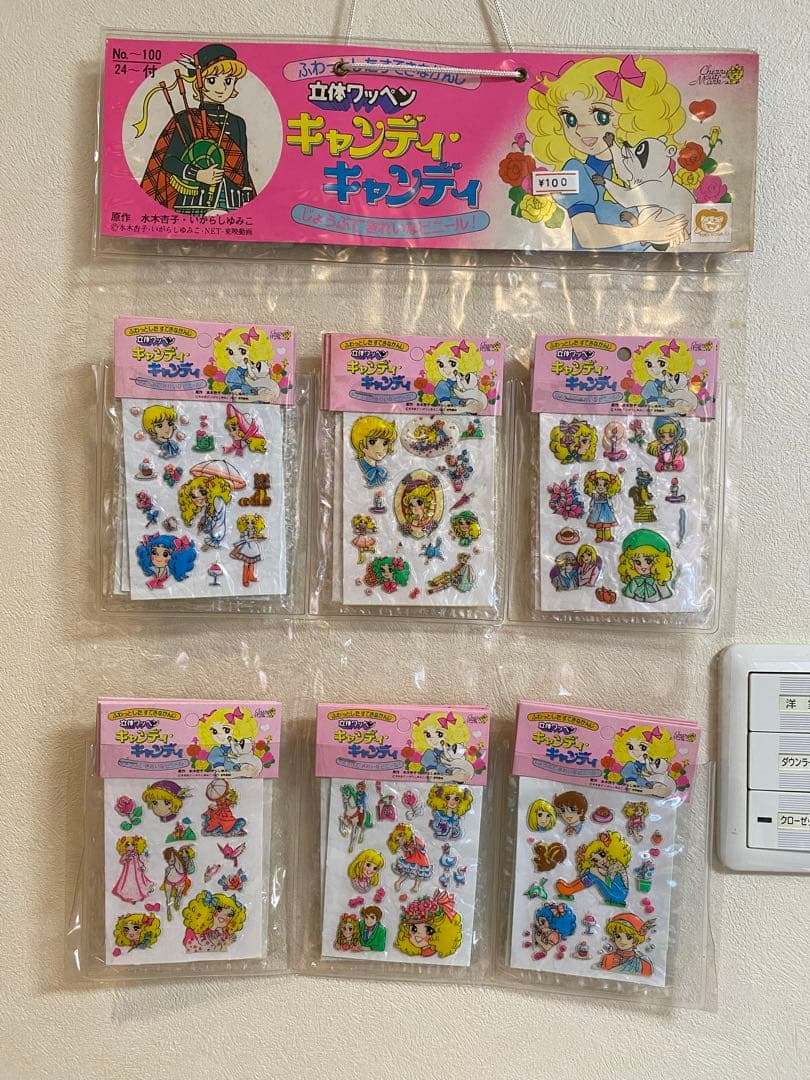 【希少】キャンディキャンディ　立体ワッペン　専用ケース付き