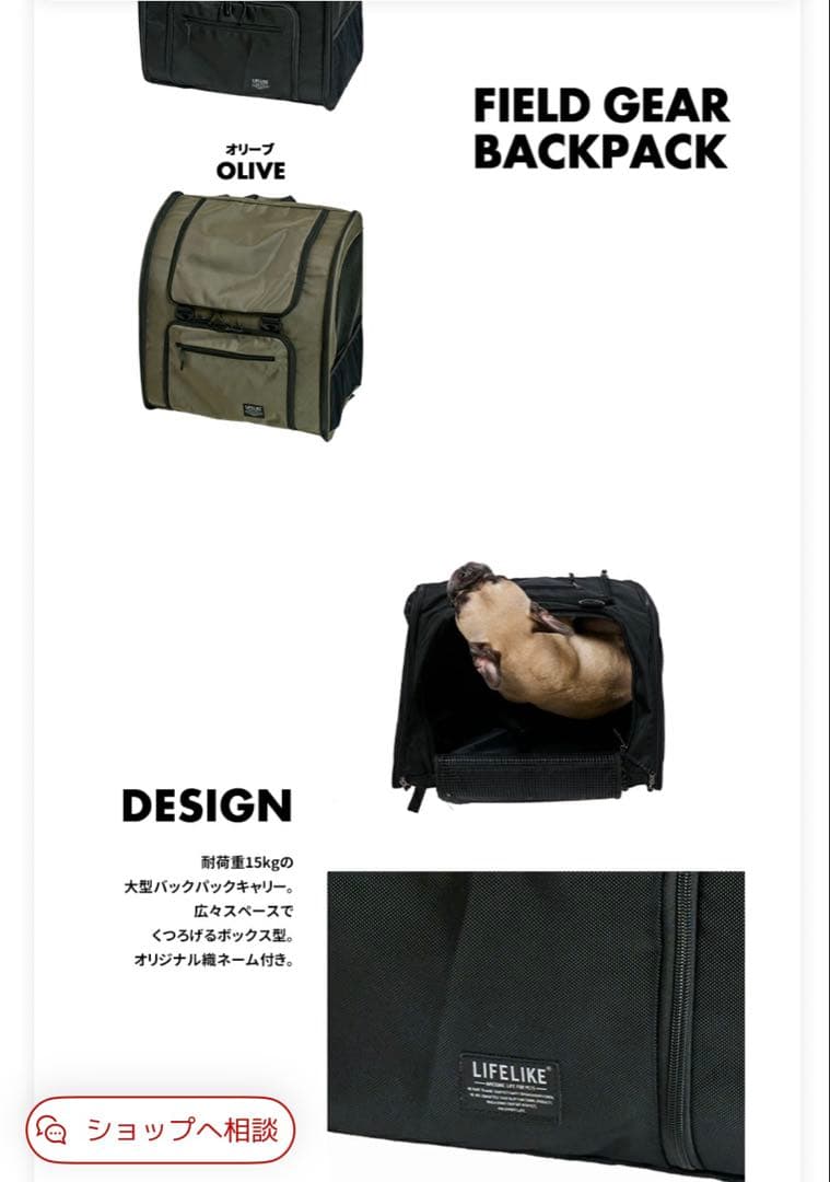 再値下げ⭐︎！FIELD GEAR BACKPACK オリーブ色