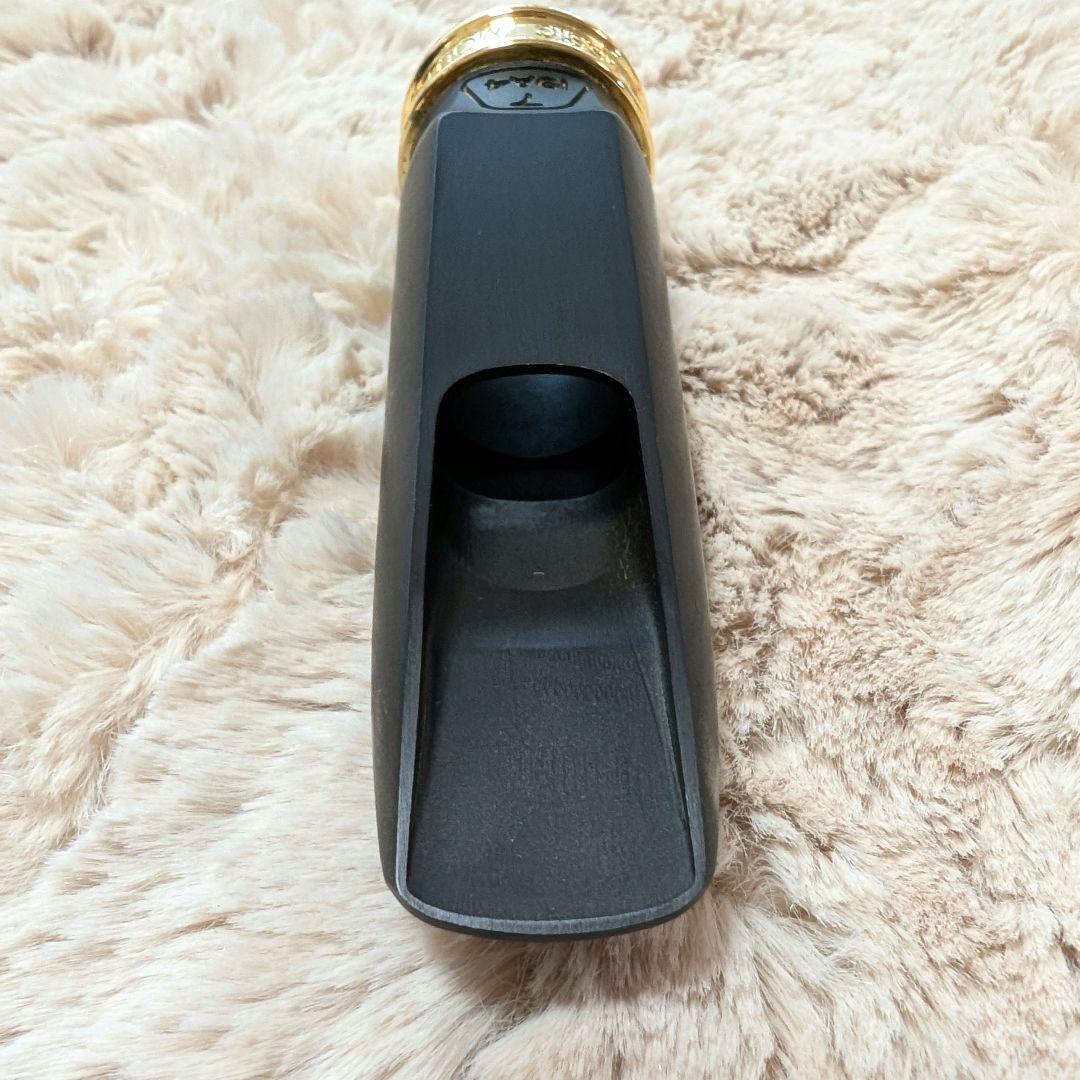 管楽器・吹奏楽器 Theo Wanne Durga 4 HR #7 Alto Sax