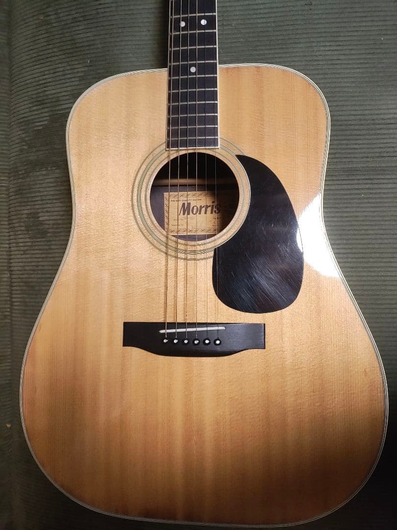 Morris アコースティックギターW25