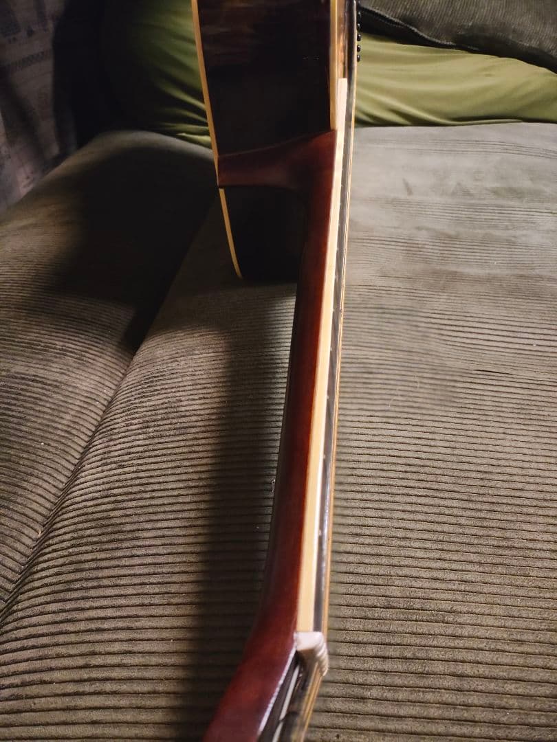 Morris アコースティックギターW25