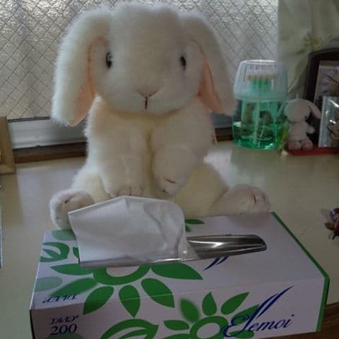 (吉徳の。)ぬいぐるみ