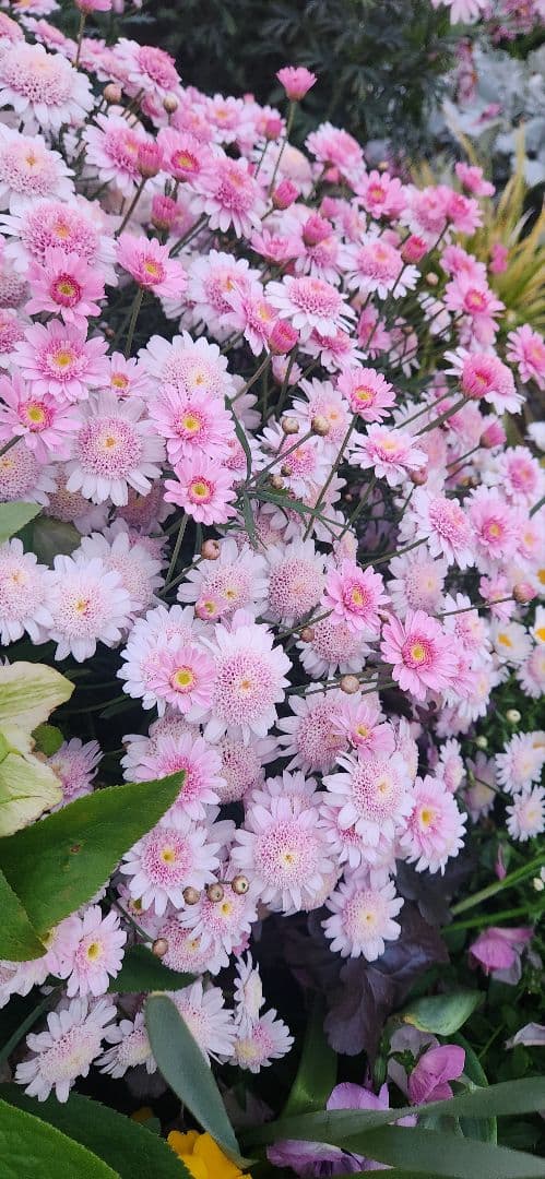 ルーター・ネットワーク機器 QWS2148