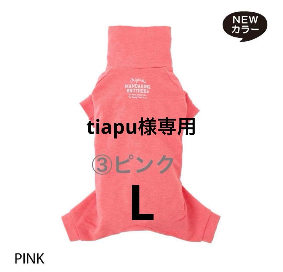 tiapuピンクL、ターコイズL、ボトルキャップ②