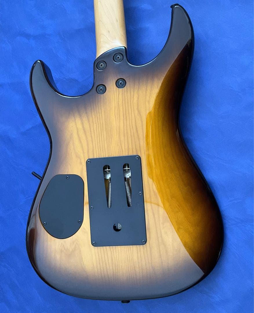 【玄人向け】Fernandes FR ブラウンバースト【特殊トレモロ】