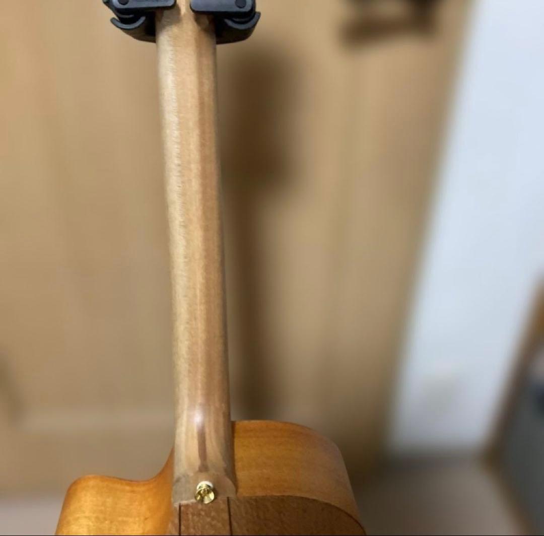 Cole Clark FL2EC・BSO 中古美品