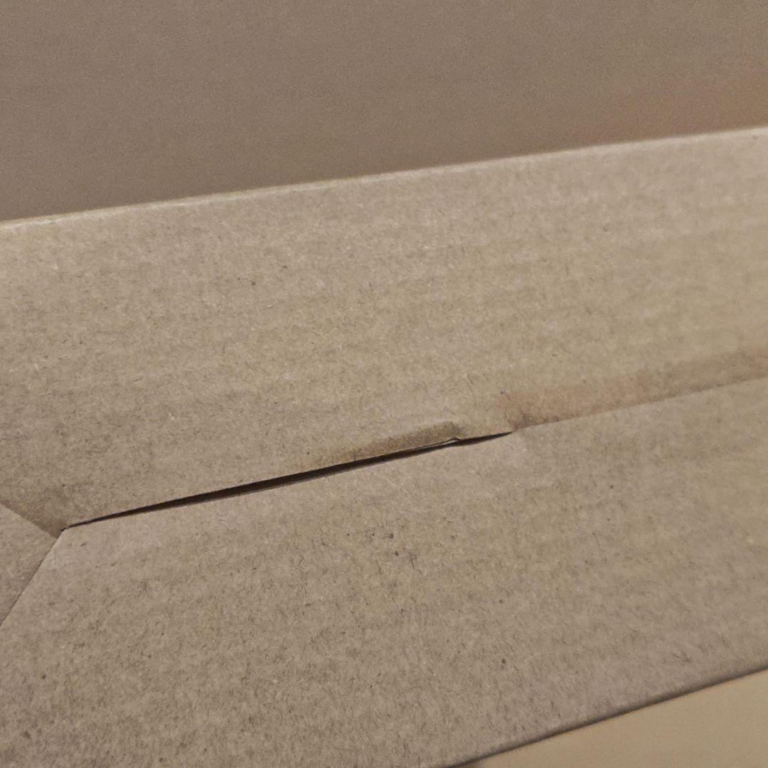 L BUILD ガンダムアストレア TYPE-X フィンスターニス　新品