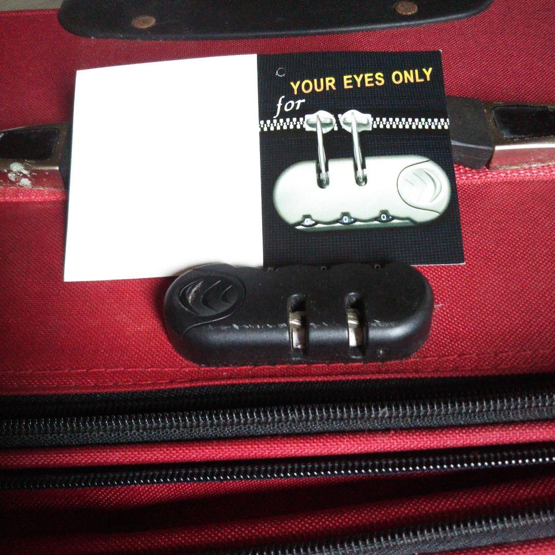 大型キャリーバッグ 布製ソフトケース　Lサイズ　2個セット