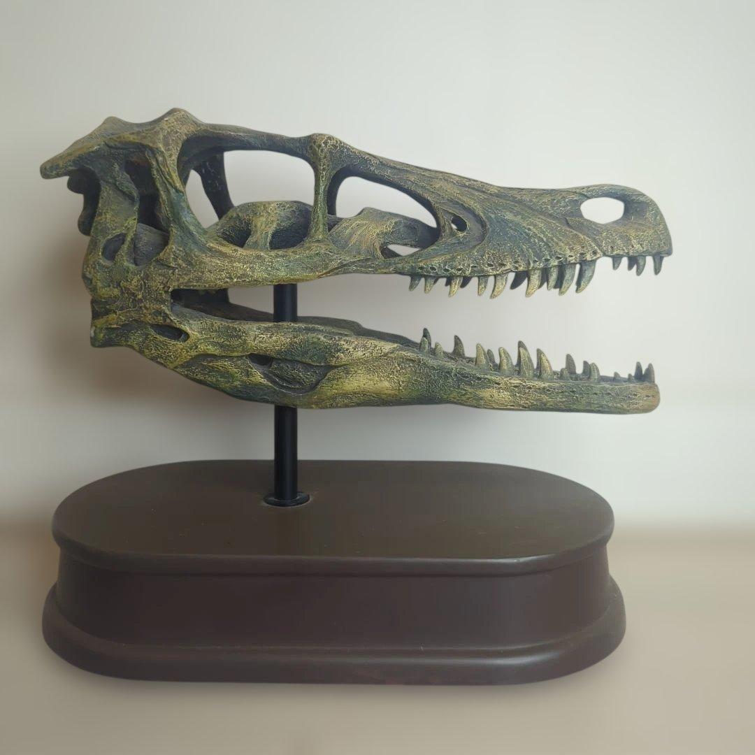 FAVORITE フェバリット ヴェロキラプトル スカル&ジョーズ 1/1