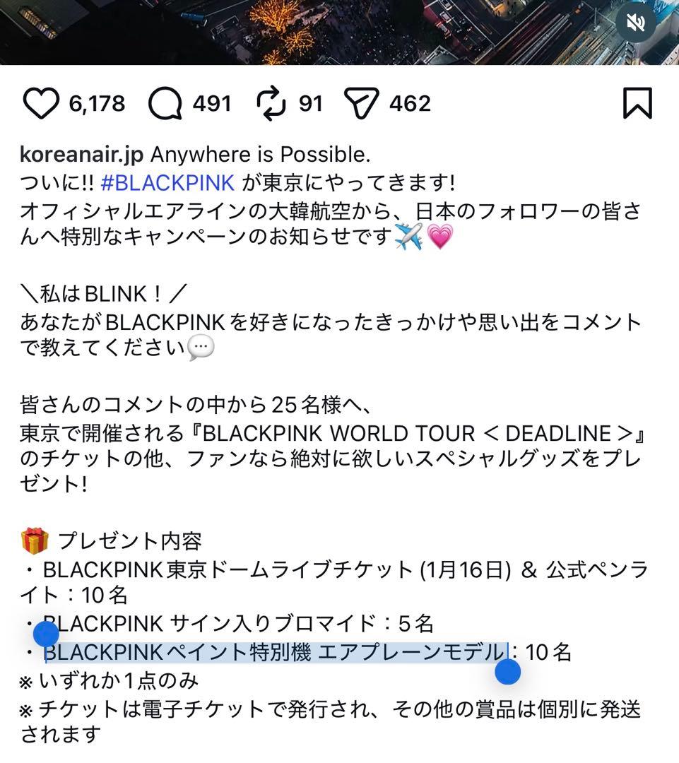 【非売品/当選品】BLACKPINK 大韓航空 特別塗装機 モデルプレーン 模型