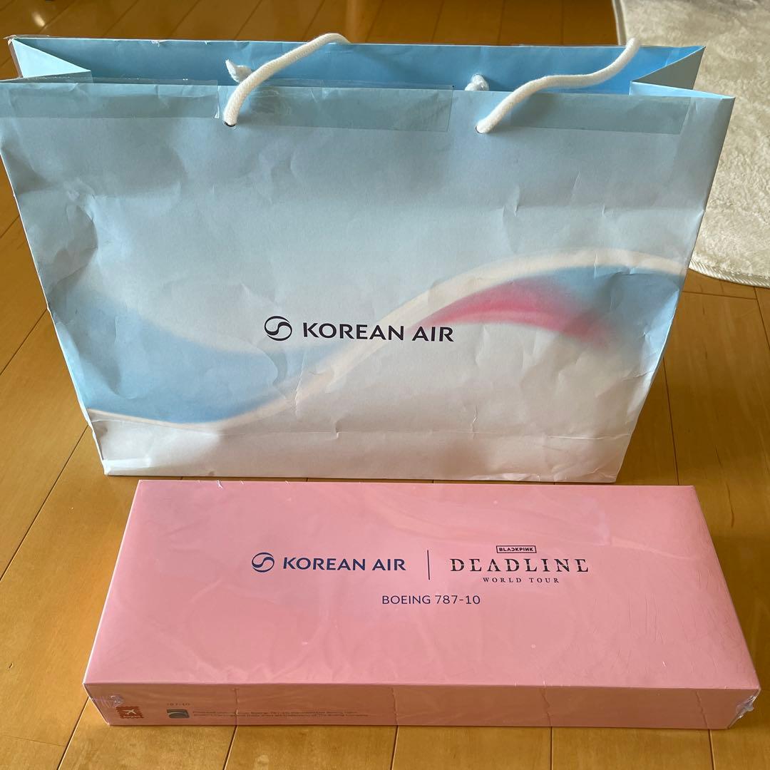 【非売品/当選品】BLACKPINK 大韓航空 特別塗装機 モデルプレーン 模型