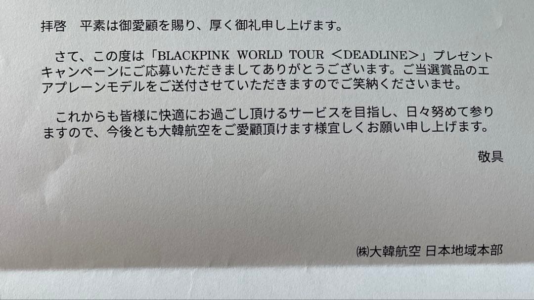 【非売品/当選品】BLACKPINK 大韓航空 特別塗装機 モデルプレーン 模型