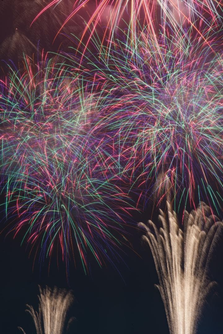 お買得品絶版マクロ！Zeiss Makro-Planar 100mm f2 ZF