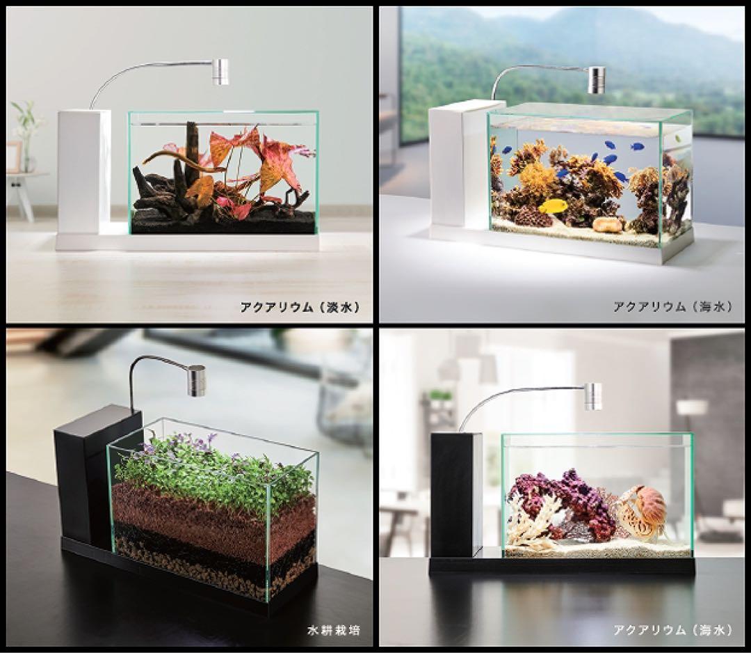 値段交渉可　美品　ＡＱＵＡ－Ｕ ＷＩＤＥ(アクアユーワイド)ブラック　GEX