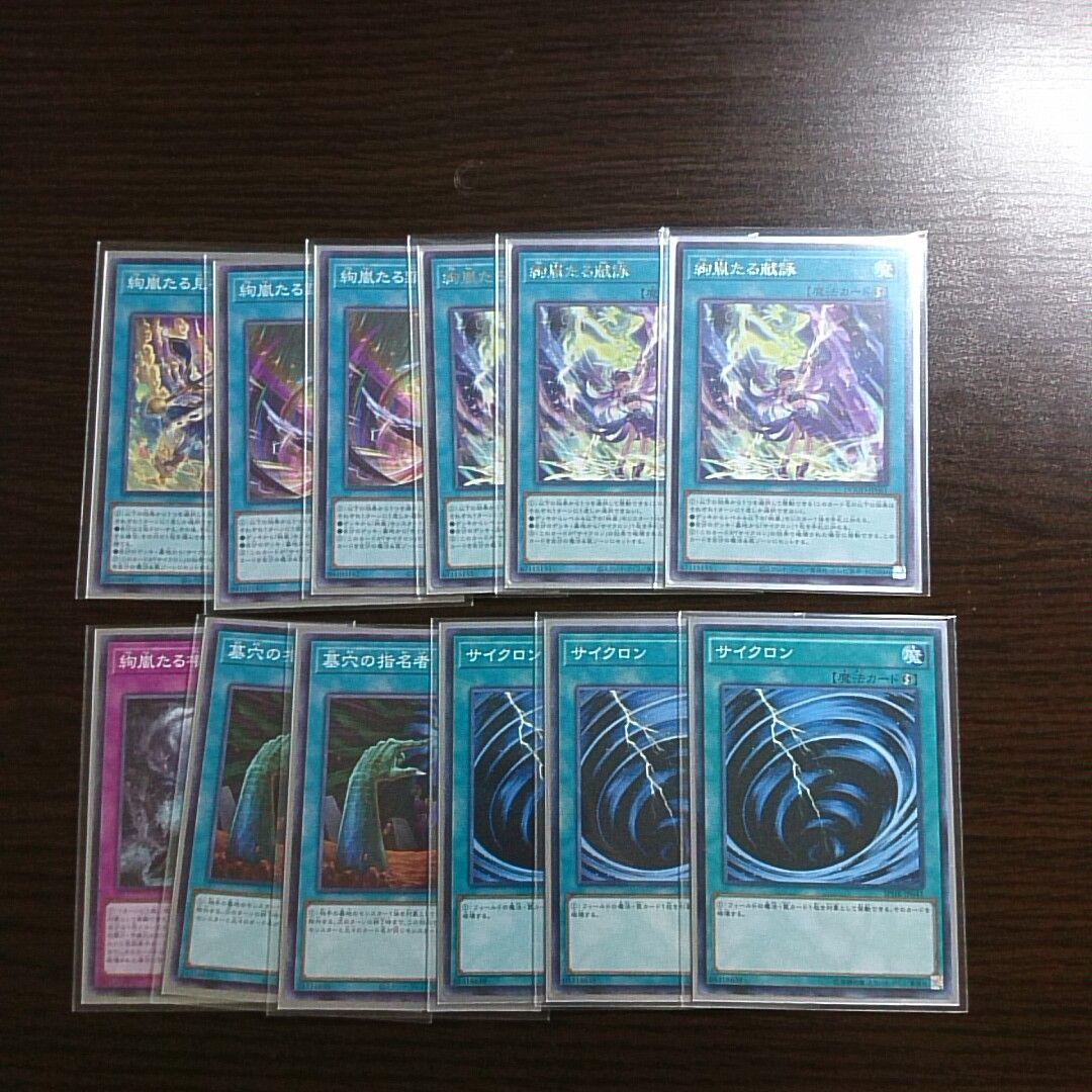 遊戯王【絢嵐ＳＲ】デッキ リン スリーブ付.