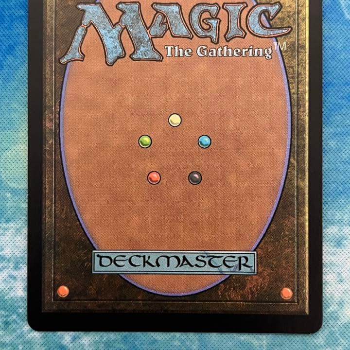 MTG 英語版 foil EXP 新緑の地下墓地