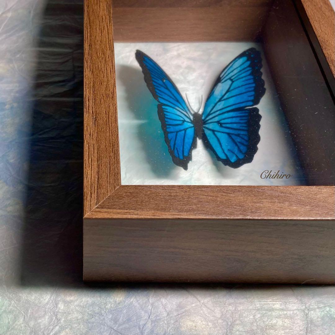 絵画 蝶 切り絵 立体 蝶標本 モルフォ蝶 ペーパーアート 日本画 動物画 3D
