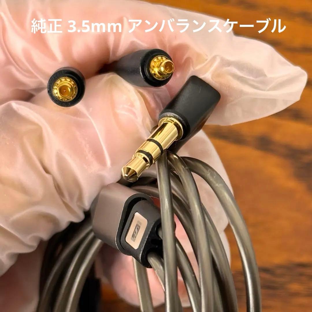 Sennheiser IE900 ゼンハイザー【付属品完備】