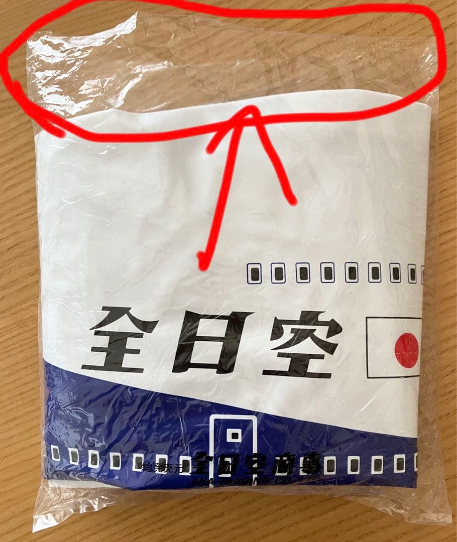 全日空 エアプレーン ボーイング747 空気ビニール 空ビ ANA 飛行機