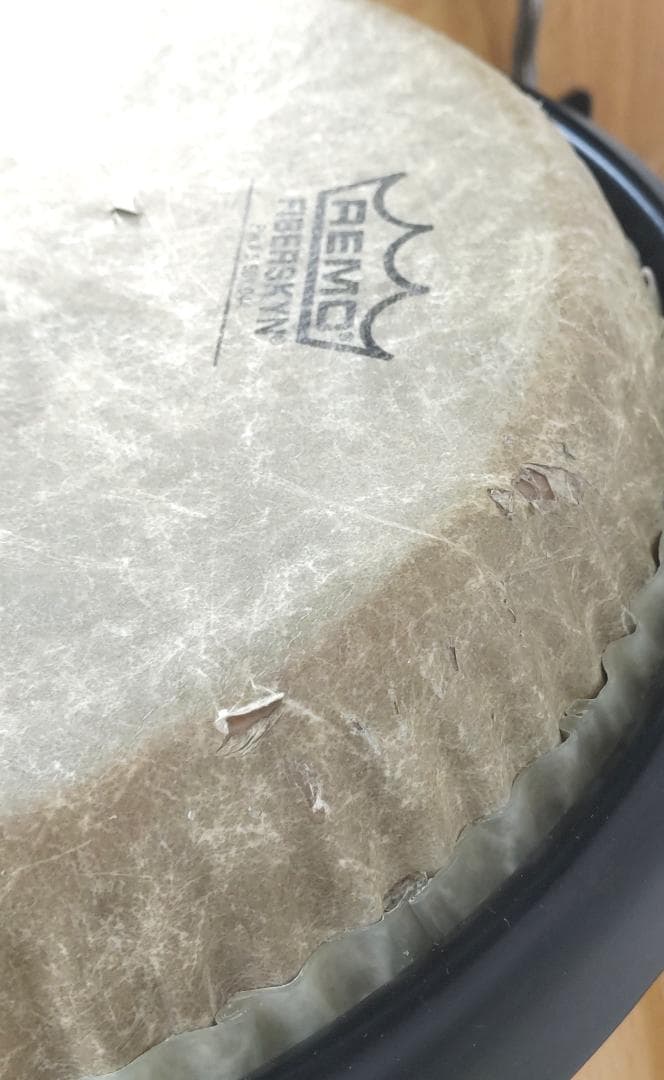 REMO/レモ コンガ ペア CROWN PERCUSSION ★スタンド付属