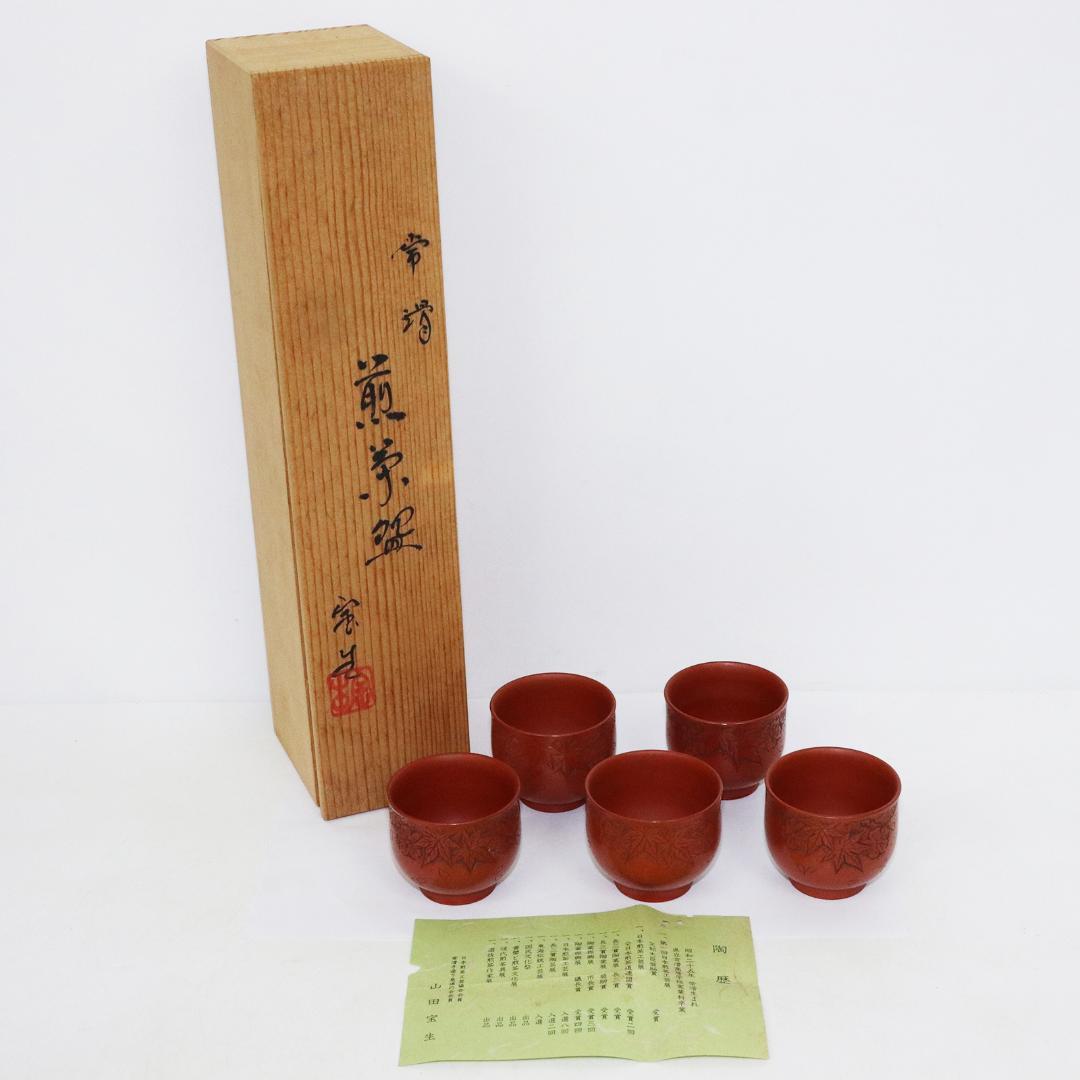 常滑焼　煎茶器5客 山田宝生 紅葉 陶歴 共箱