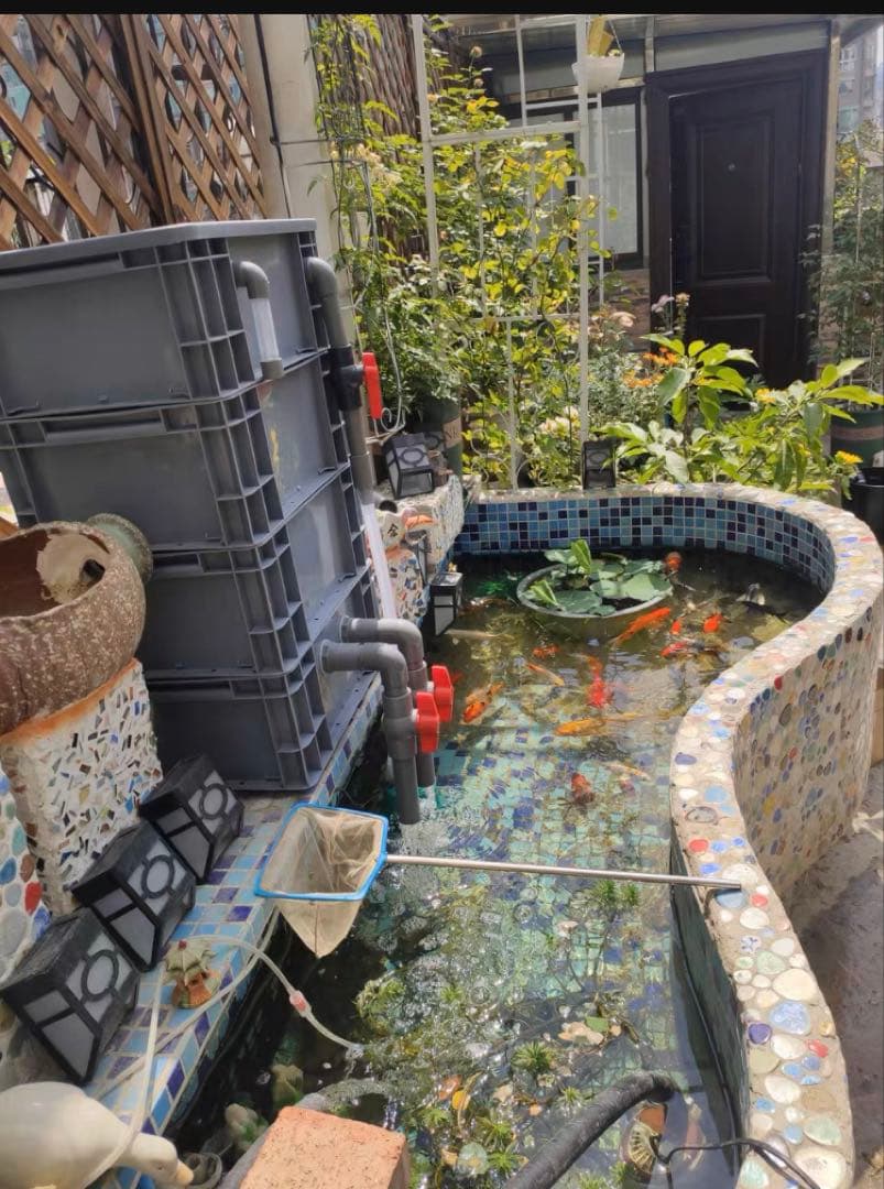 本体のみ池フィルター万能濾過装置 池フィルター最高濾過装置大)当日発送送料込み