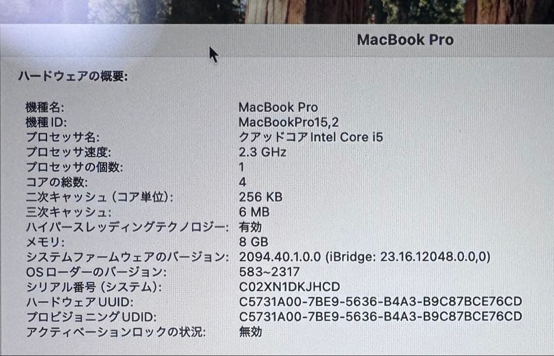 MacBook Pro 13.3インチ 256GB 2018年