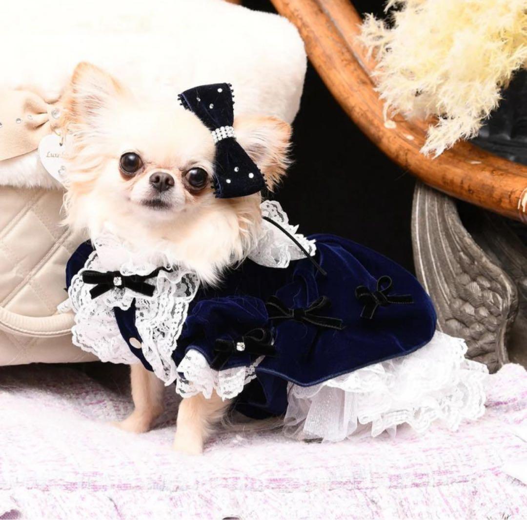 新品　 luxebirdie エリアスワンピース　 ネイビー Mサイズ