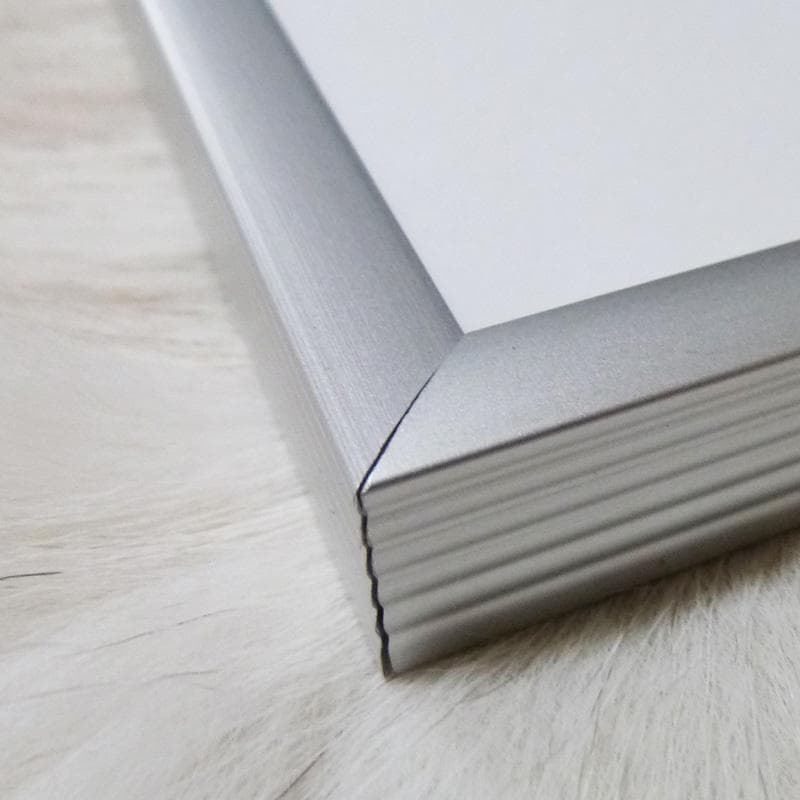 額装済マット作品/Detail of (ウォーホル)