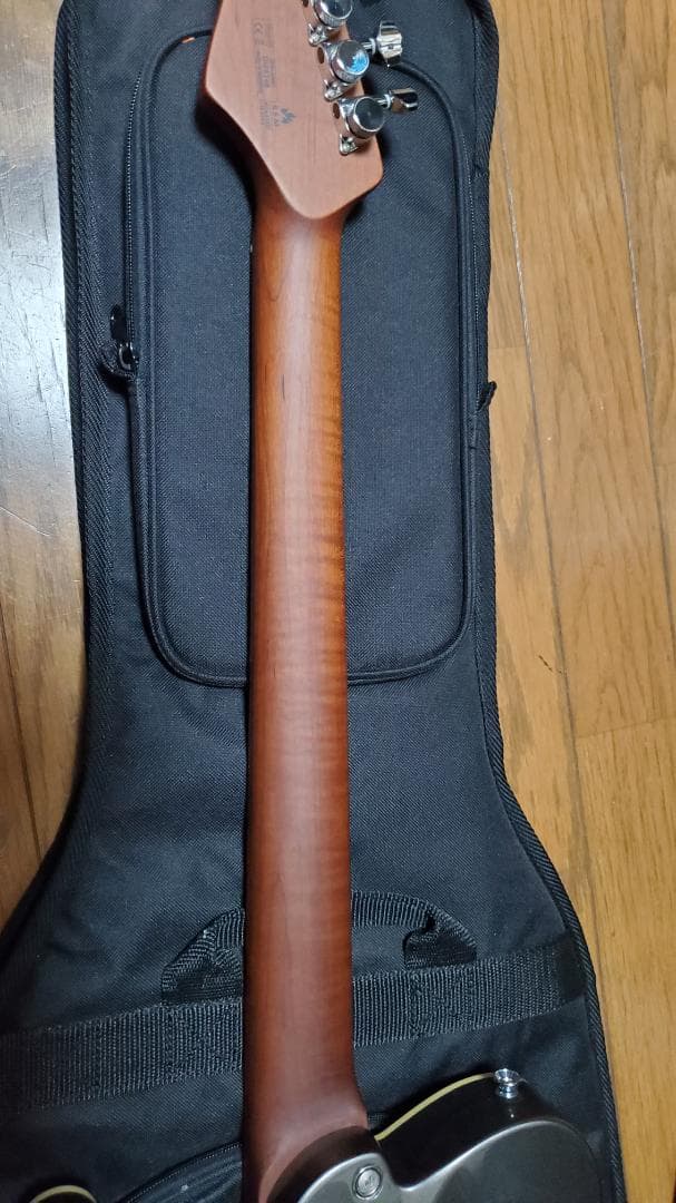 Bacchus TACTICS24-STD/RSM Gun-M ほぼ新品