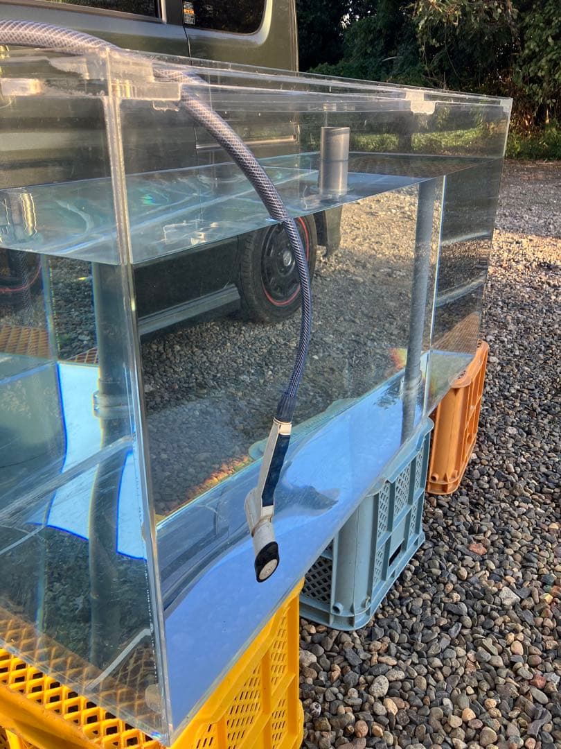 1200オーバーフロー水槽セット引き取り限定